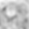 [Tiramisu Tart (Kazuhiro)] Inran Elf Oyako to Orc (English) (Censored) [ORC RAPE DUNGEON] thumb