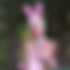 FutileStruggles.com - Foxx to Bunny Transformation - Part 2 thumb