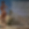 [Unreal Engine] Wild Life [Build 2019.09.13] [Adeptus Steve] 25$ Build thumb