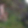 [Lustery.com] Dusty & Peppermint - Fucket List Chasing Waterfalls (E845) [2023, All sex, 1080p, SiteRip] thumb