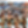 [JacquieEtMichelTV.net] Quebec: Speedboat orgy! thumbnail