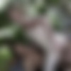 Rudy Bodlak & Tim Walker | Fucked and Jizzed Outdoors | staxus.com | 1080p | Picset thumb