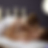 MassageRooms.com - Mila Fox and Lady Bug thumbnail