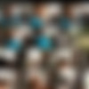 [BangBros.com] BallHoneys.com — 2005-2008 — Partial Siterip — 172 Scenes thumb