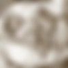 hine bdsm comics pack thumb