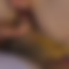 [ATKGirlfriends.com] Britt Blair (Workout Outfit) [2023 ., Anal, Oral, Blowjob, Footjob, Hardcore, POV, All Sex, 2160p, 4k] thumb