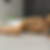 [WetAndPissy.com] Mia Trejsi - Rinsing Off [2023-08-01, Solo, Brunette, Close Up, Pissing, Fingering, Masturbation, Dildo, Ukrainian Girl, 2160p, SATRip] thumb