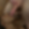 TsPussyhunters.com - February 2013 update thumbnail