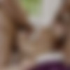 [Blacked.com] Apolonia Lapiedra (Watching The Wife) [17-04-2021, All Sex, Blowjob, Gonzo, Hardcore, Interracial (IR), Small Tits, Threesome, 2160p] thumb