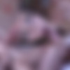 [WoodmanCastingX.com] Clara Mia (CASTING X 227 *UPDATED*) [2021, Gonzo Hardcore All Sex Anal DP 720p] thumb
