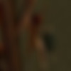 BDSM art by Minos - The Medieval Dungeon - EXTREME CONTENT thumb