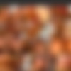 [harmonyvision.com] Young Harlots part 1Collection 1080p 20/4 2017 thumbnail