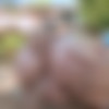 [Pawg.com / BangBros.com] Jodie Taylor (aka Jodi Taylor) (Can An Ass Be Too Nice? / pwg10961 / 16.11.2012) [Big Ass, Natural Tits, Deep Throat, Facial, Innie Pussy, Red Head] thumb