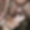 [puzzyfun.com] Julia North (Let's go, fuck and inseminate Julia all holes again) [2023-07-12, Anal Sex, Blow Job, Gangbang] [720p] thumb