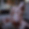 [Deeper.com] Addie Andrews (Pain) [07.05.2020, Blonde, Lingerie, Bondage, Blowjob, Standing Doggystyle, Reverse Cowgirl, Missionary, Riding, Pussy Licking, Cumshot, Bush, Spanking, Face Sitting, 1080p] thumb