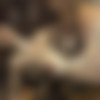 Affect3D.com - Monster Eater 3 (414 JPG) thumbnail