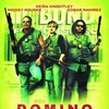 Domino 2005 1080p BluRay Remux VC-1 DTS-HD MA 5 1-PmP thumb