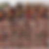 Everydayslaves.com ALMOST FULL SITE-RIP thumbnail