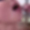 Goon Project - A Compilation by PriPPs [2024 ., Music, Compilation, JOI, Hardcore, Big Tits, Big Dick, Blowjob, Eye Contact, Cumshot, Facial, Trans, Anal, Teen, POV, Creampie, Squirt, Baby Play, Gonzo, DP, All Sex, Threesome, Interracial, PMV, 1080p, HDRip] thumb