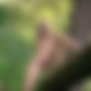 [EroticBeauty.com] 2016-04-24 Lilly A - With the Trees [Erotic Photos] [3413x5120, 64 Photos] thumb