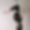 www.inexesse.com :: 12 Puzzles thumbnail