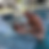 [OnlyFans.com] Kathryn Mae & Johnny Sins (2023-08-09) [2023, All Sex, Blonde, Blowjob, Bubble Butt, Hardcore, POV, 1080p, SiteRip] thumb