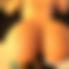 [Jackerman] The Bully thumb