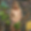 [AlsScan.com] 2020 [Erotic, Masturbation, Lesbian][192  / 43206  / Mid-Res] thumb