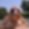 Lusty Bust Desires 3 thumb