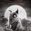 Frankenweenie 2012 1080p BRRip DDP 5 1 H 265 -iVy thumb