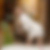 [MetArt.com] [2021.03.24] Sophie.Gem.Watering.XXX.IMAGESET-FuGLi thumbnail