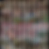 [OnlyFans.com] Janine Lindemulder - SiteRip thumb