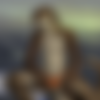 [ART] Dacad Collection /   Dacad (Dacad) [Furry, Yiff, Yaoi, Cumshot, Group sex, Anal, Oral, Solo] [PNG JPG GIF] [eng] thumb