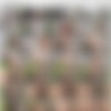 Sapphira Pack thumb