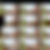 XevUnleashed. 2160p. pack 3 thumb