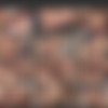 [harmonyvision.com] Young Harlots part 1Collection 1080p 20/4 2017 thumbnail