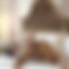 [MetArtX.com] May Thai - Asian Afternoon 2 [2020.11.23, Solo, Posing, Asian, Balcony, Bedroom, Brunette, Masturbation, Outdoors, 720p] thumb