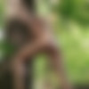[EroticBeauty.com] 2016-04-24 Lilly A - With the Trees [Erotic Photos] [3413x5120, 64 Photos] thumb
