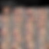 Sasha Honey Video Pack thumb