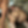 [FaceSittingFreaks.com] Maya - Fishnets, Toes & Asphyxiation [2010 ., Feet, Fetish, Toys, Fishnets, Piss, SiteRip] thumb
