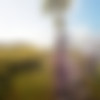 Deluded [InProgress, 0.3] (SRT) [uncen] [2023, ADV, RPG, 3D, Animation, Horror, Ahegao, Anal, Corruption, Creampie, Drugs, Exhibitionism, Female Protagonist, Masturbation, Multiple penetration, Oral, Rape, Toys, Tentacles, Urination, Virgin] [eng] thumb