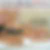 Straplessdildo.com - Freshly Oiled Pussies Are Happy Pussies (REQ) thumb