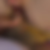 [ATKGirlfriends.com] Britt Blair (Workout Outfit) [2023 ., Anal, Oral, Blowjob, Footjob, Hardcore, POV, All Sex, 1080p] thumb