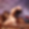 [EroticBeauty.com] 2011 [Erotic, Solo, Posing][355  / 45508  / Mid-Res] thumbnail