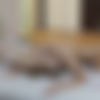 [VivThomas] (2015-04-08) Alexis Crystal, Silvie Luca - Sex Message III Scene 1 - Disclosure (1080p) thumb
