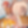 Liely (87) [uncen] [2018-2020, Blowjob, Bunny Girl, Elf, Glasses, Kitsune, Neko, Pantyhose, Parody, Small Tits, Stockings, Straight, Tentacles, X-Ray, WEB-DL] [no dialogue] [1080p] thumb