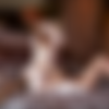 [VivThomas]17.06.09 Dorothy Black And Isabella Lui Engaged [1080p] thumb