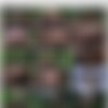 InfernalRestraints.com (September 12, 2014) -Bella Rossi- The Farm: Bella's Visit Part 2 (Torture/Training of Filthy Pig) [10bit,540p+] thumb