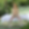 [21EroticAnal.com][04.11.22] Alexis Crystal - Catch Me If You Can - XXX - iMAGESET - IMNoob thumb