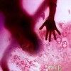 The Blob 1988 1080p BluRay x264-OFT thumb